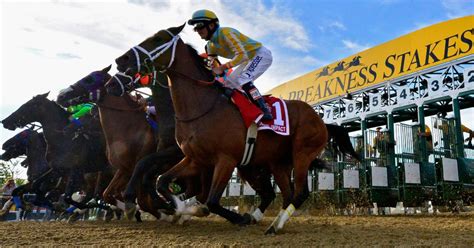 Preakness Stakes post positions: Full draw & odds for the 2022 .